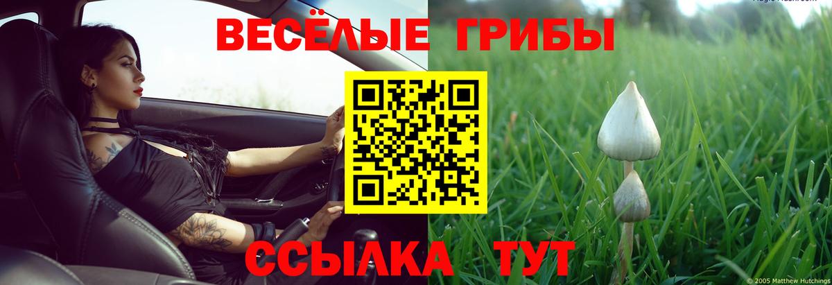Новоалтайск  Галлюциногенные грибы ЛСД  Вход с VPN 
